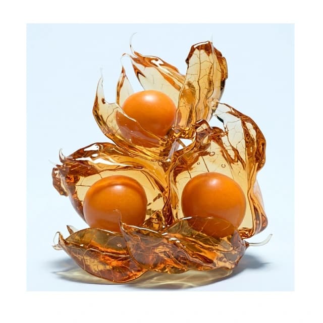 Physalis (cape gooseberries), 100 g